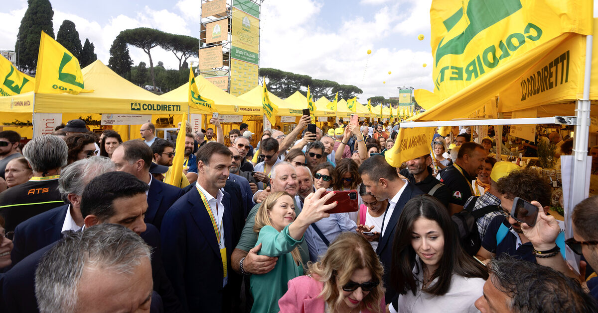 Canapa, i silenzi di Prandini e Coldiretti dopo le critiche al decreto Sicurezza. E i coltivatori sono ...