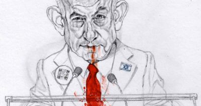 Copertina di La vignetta di Mannelli