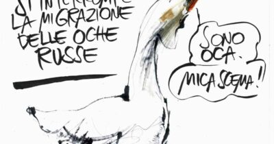 Copertina di La vignetta di Mora