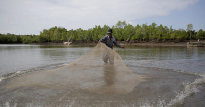 Copertina di Così l’acidificazione degli oceani cresce del 30-40 per cento