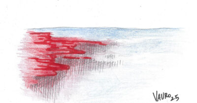 Copertina di La vignetta di Vauro