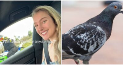 Copertina di “Stavo per essere uccisa da un piccione, mi sono miracolosamente svegliata dopo sette giorni di coma”: la storia di Mercedes Valentine