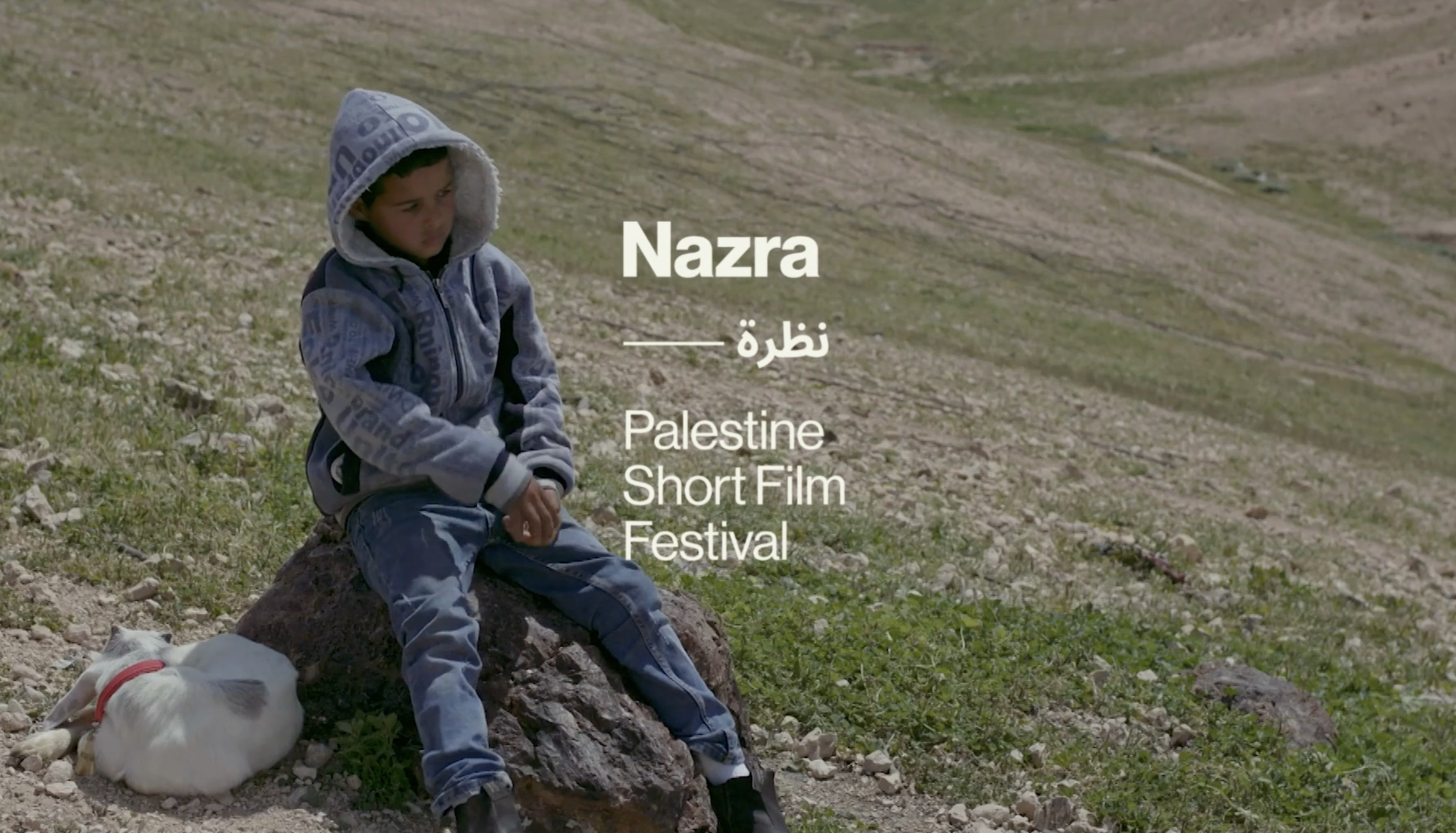 Raccontare la Palestina con i cortometraggi, torna il ‘Nazra festival’: dal 6 al 31 ottobre proiezioni e dibattiti in tutta Italia