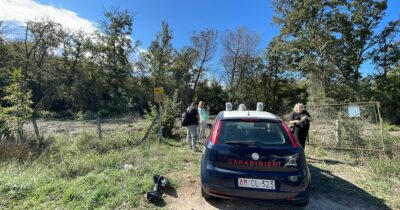 Copertina di Un aereo dell’Aeronautica precipita all’interno del Parco del Circeo: due piloti morti