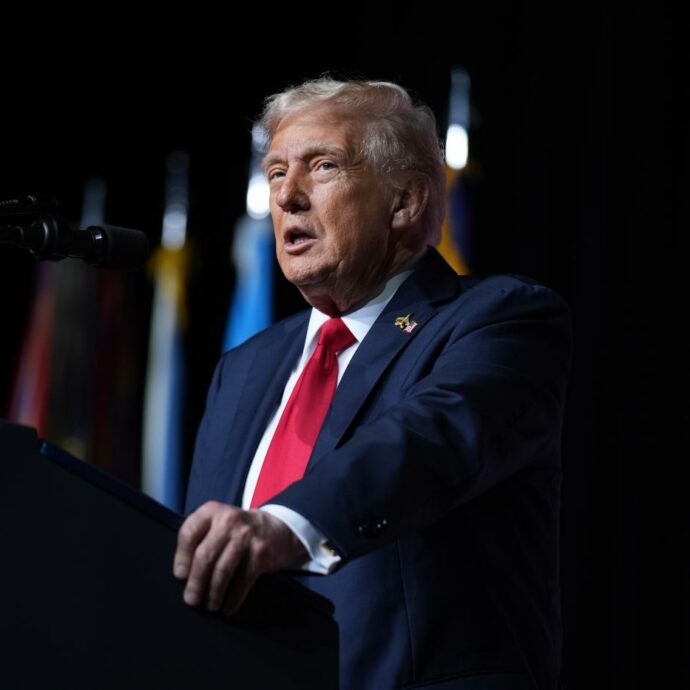 “Desecretare e pubblicare tutto ciò che riguarda il suo ultimo fatale volo”: Trump ordina di svelare tutti i documenti sul mistero della scomparsa di Amelia Earhart