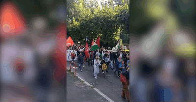 Copertina di Sciopero generale, piazze piene anche a Varese: il corteo in difesa della Flotilla attraversa la città – Video
