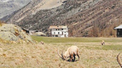 Copertina di La destra occupa tutto l’occupabile: stavolta tocca al parco nazionale del Gran Paradiso