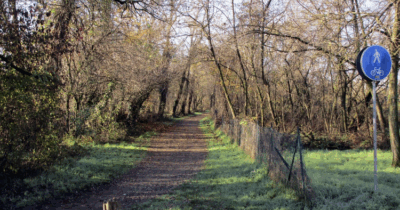 Copertina di Aggredita sulla pista ciclabile a Modena, poi legata e violentata: arrestato un ventenne