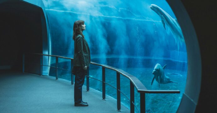 Petra, Warhol e altri “Monster” tra omicidi, artisti e psicopatici