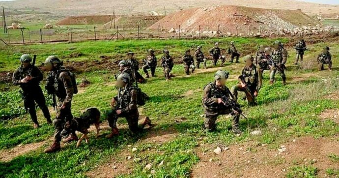 Israele ai mondiali di addestramento cani. Protestano le associazioni: “L’Idf usa gli animali contro i prigionieri palestinesi”