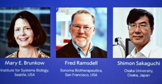 Copertina di Premio Nobel per la Medicina a Mary E. Brunkow, Fred Ramsdell e Shimon Sakaguchi per le ricerche sul sistema immunitario