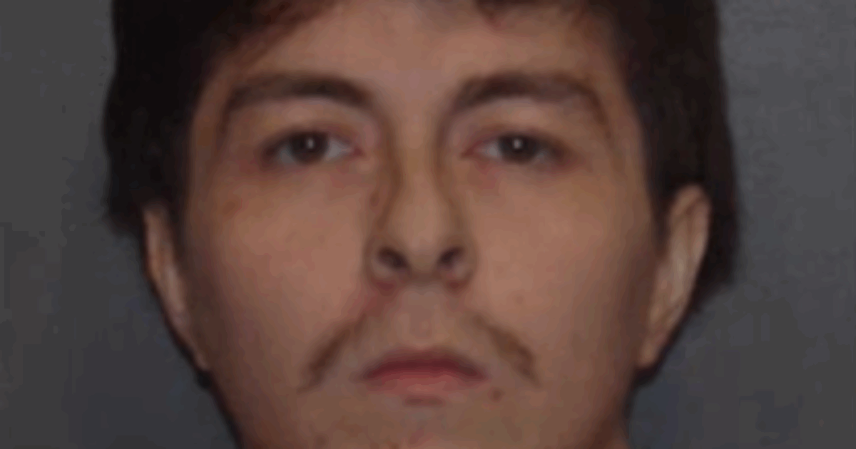 “Ho investito un cane, poco dopo un’auto si è fermata dietro di me e il proprietario dell’animale è sceso per puntami una pistola contro”: il racconto choc di un automobilista