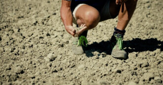 Copertina di Ecofuturo Tv, la seconda puntata dedicata all’agricoltura sostenibile: indispensabile per salute e clima