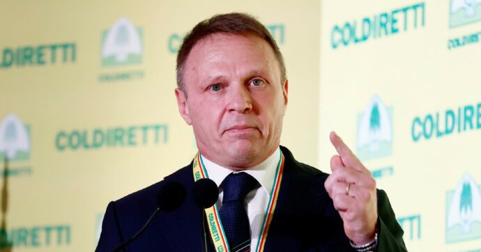 Olio e mozzarella: FI stoppa la legge che voleva “Lollo”