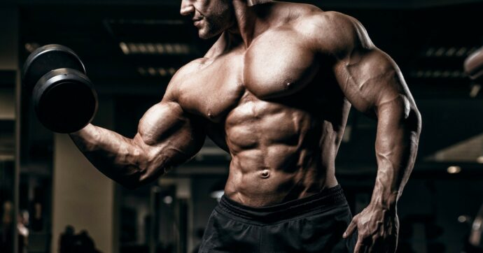 Detestati dai filosofi greci, esaltati in Germania nell’800: i muscoli