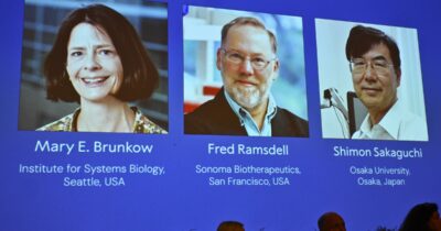 Copertina di “Avevo il cellulare in modalità aereo, ho scoperto di aver vinto il Nobel in mezzo ai grizzly”: ecco perché Fred Ramsdell non ha risposto alla chiamata da Stoccolma