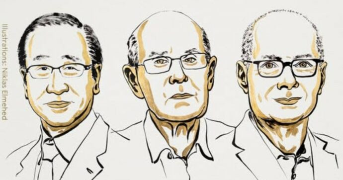 Nobel per la Chimica 2025 a Susumu Kitagawa, Richard Robson e Omar M. Yaghi “per lo sviluppo di telai metallo-organici”