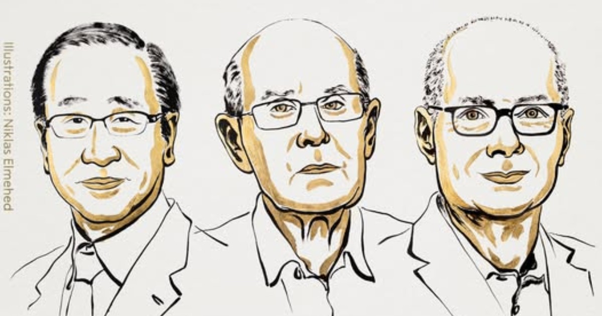 Nobel per la Chimica 2025 a Susumu Kitagawa, Richard Robson e Omar M. Yaghi “per lo sviluppo di telai metallo organici”