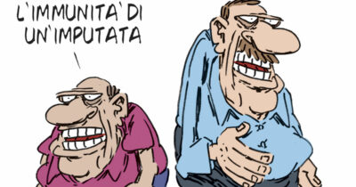 Copertina di La vignetta di Franzaroli