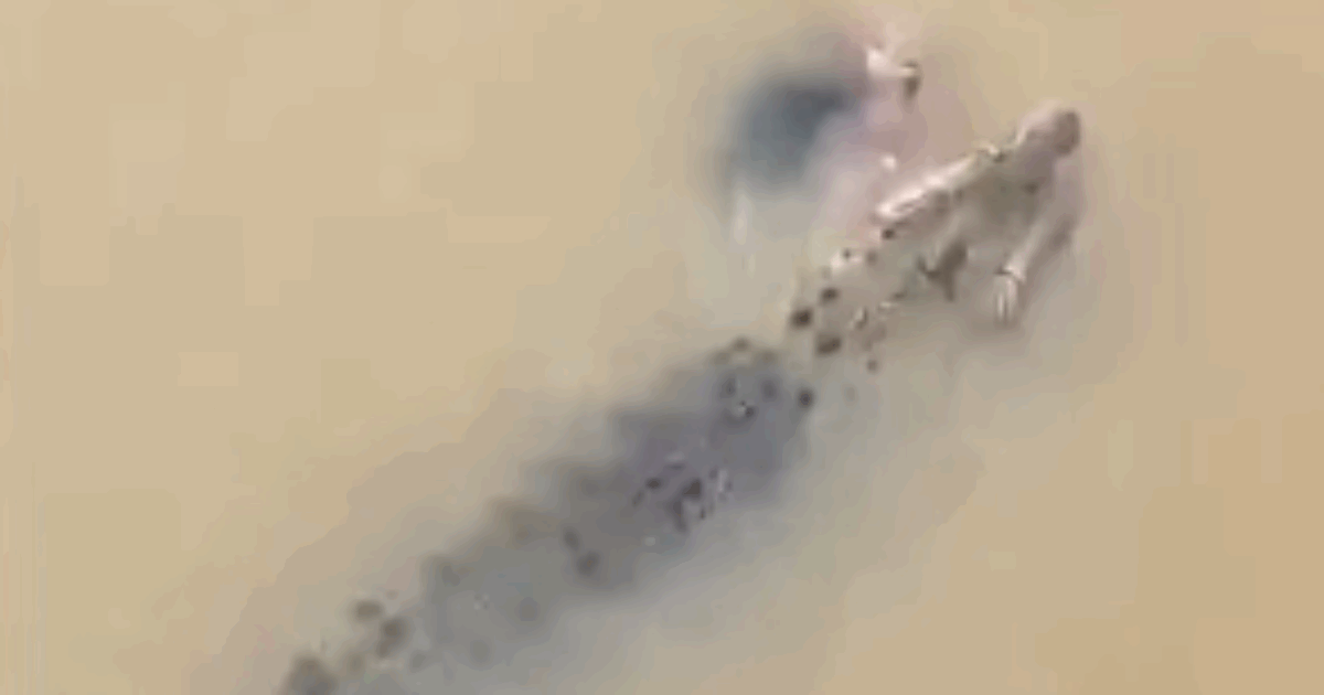 “Il corpo era mangiato per metà, abbiamo potuto solo fare l’autopsia”: trovata la donna trascinata nel fiume da un coccodrillo