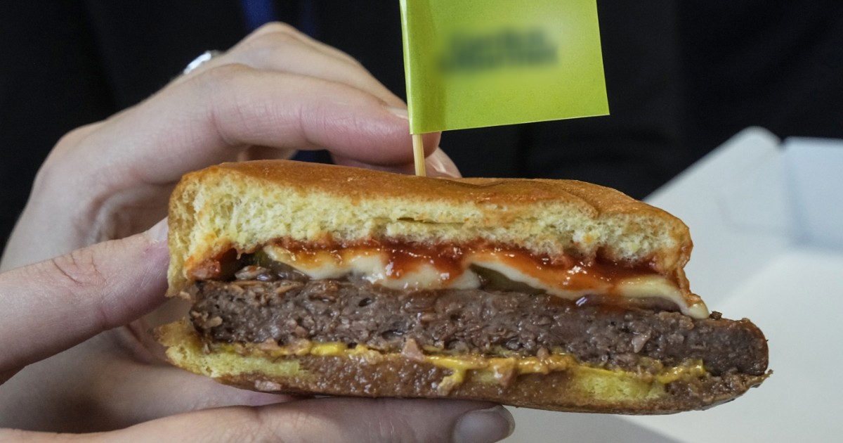 non possiamo chiamarli veggie burger usiamo il nome giusto 8216poltiglia8217