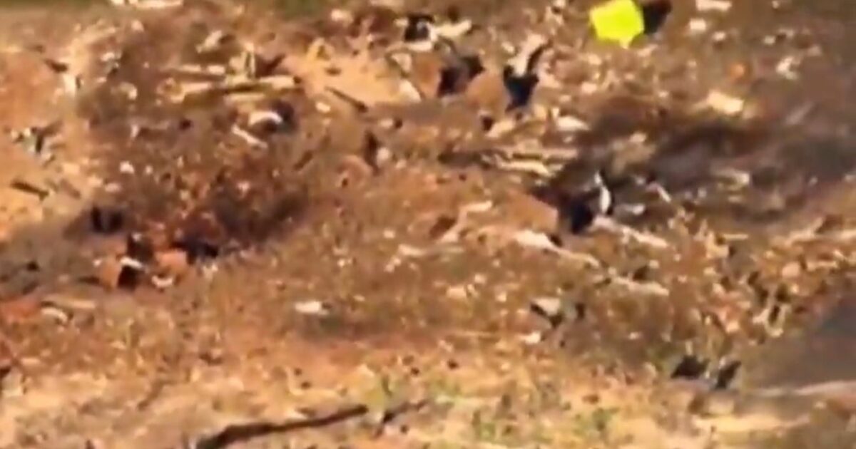 Usa, esplode una fabbrica di materiali militari in Tennessee: “Ci sono diversi morti” Usa, esplode una fabbrica di materiali militari in Tennessee: “Ci sono diversi morti”