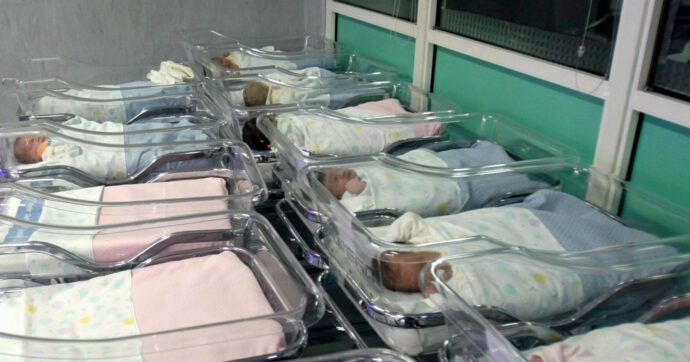 Sei nascite in un solo giorno, non accadeva da dieci anni