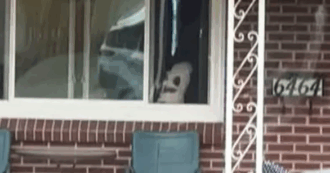 Copertina di “C’è un fantasma alla finestra e non è uno scherzo di Halloween. Sono rimasta completamente spaventata”: l’incredibile verità dietro il video virale su TikTok