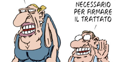 Copertina di La vignetta di Franzaroli