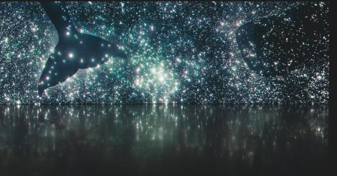 Un mostro in (bella) mostra “Moby Dick”, oltre Melville