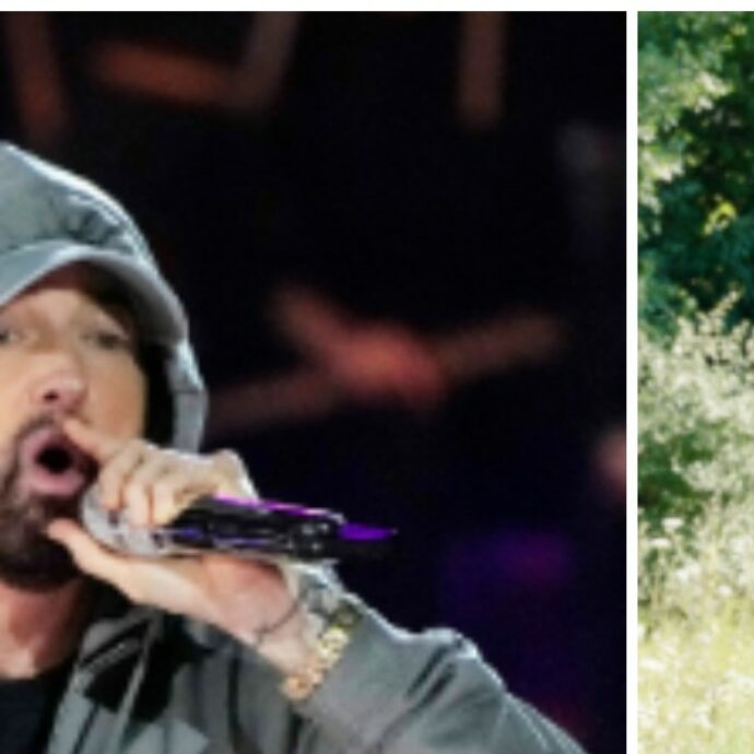 “Non vediamo l’ora di incontrarti, grazie a Dio per questo regalo”: Eminem diventerà nonno per la seconda volta, la figlia adottiva Alaina Scott è incinta