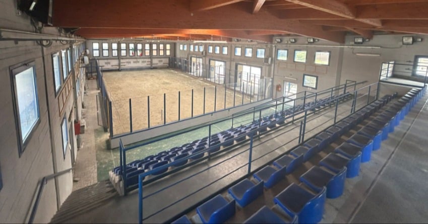 Nasce a Torino la prima HitBall Arena: un traguardo ambito che aiuterà a diffondere questo sport Nasce a Torino la prima HitBall Arena: un traguardo ambito che aiuterà a diffondere questo sport