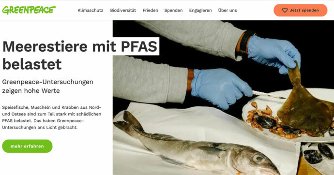 Germania, la denuncia di Greenpeace: “Pfas oltre soglia in pesci e molluschi pescati nel Baltico e nel Mare del Nord”