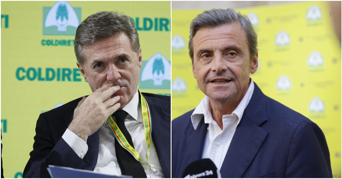 Scintille tra Calenda e Cattaneo sui costi dell’energia: “Cafone”, “Vai a lavorare”. E l’ad di Enel annuncia querela Scintille tra Calenda e Cattaneo sui costi dell’energia: “Cafone”, “Vai a lavorare”. E l’ad di Enel annuncia querela