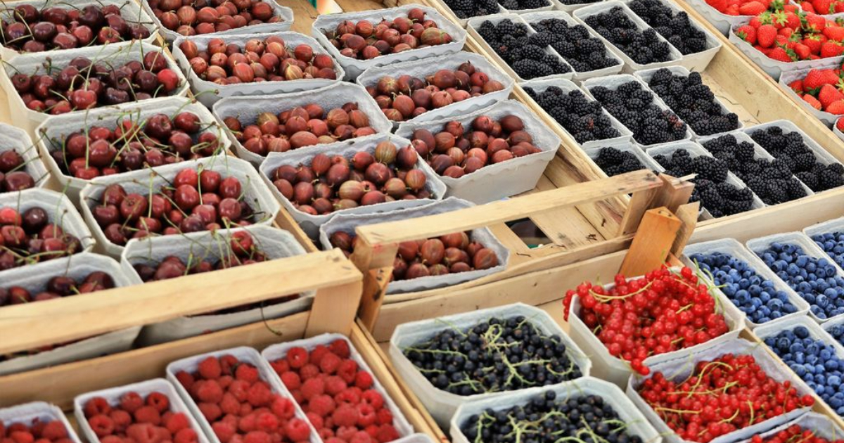 Meno cibo e sempre più caro: così la crisi climatica minaccia la sicurezza alimentare europea Meno cibo e sempre più caro: così la crisi climatica minaccia la sicurezza alimentare europea