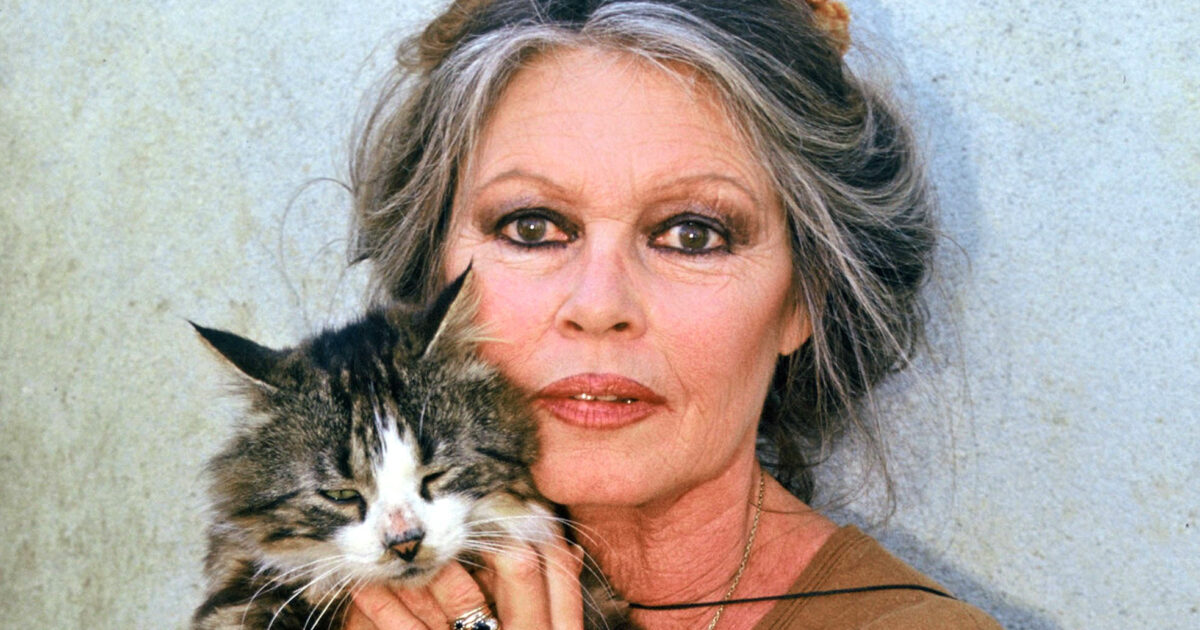 Brigitte Bardot è stata operata d’urgenza “per una grave malattia”. Le condizioni restano “preoccupanti”