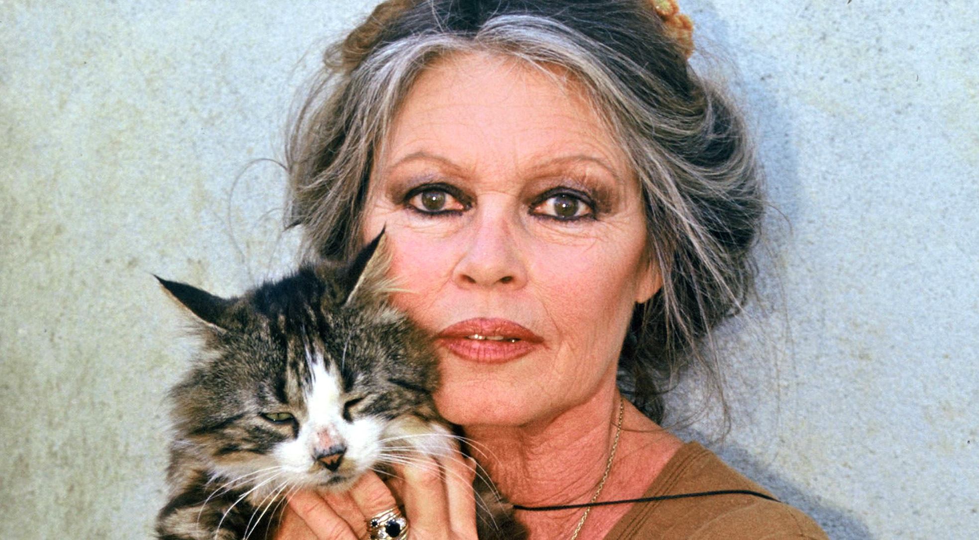 Brigitte Bardot è stata operata d'urgenza "per una grave malattia". Le  condizioni restano "preoccupanti"