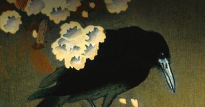 Copertina di ‘Malizia Christi’ di Davide Cortese, un inno alla meraviglia filosofica