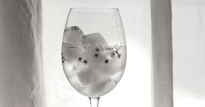 Copertina di L’acqua con i semi di basilico è l’ultimo trend di TikTok, l’esperto avverte: “Ha proprietà digestive e antiossidanti ma attenzione, non è per tutti”