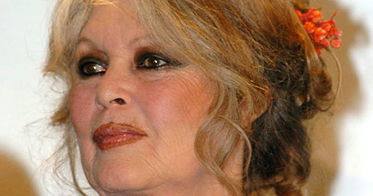 sto bene rispettate la mia privacy brigitte bardot 232 stata dimessa dall8217ospedale l8217operazione
