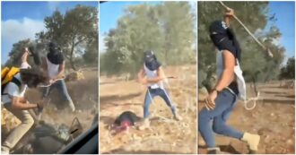 Colono israeliano aggredisce a bastonate un'anziana palestinese durante la raccolta delle olive