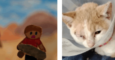 Copertina di Bambino di 9 anni vede un gruppo di ragazzi più grandi ‘lanciarsi un gattino come fosse un pallone’: quello che fa per salvare il micio è incredibile