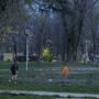 Copertina di Bullo di 15 anni strattona un coetaneo al parco: multa di 12mila euro ai genitori “ritenuti responsabili”
