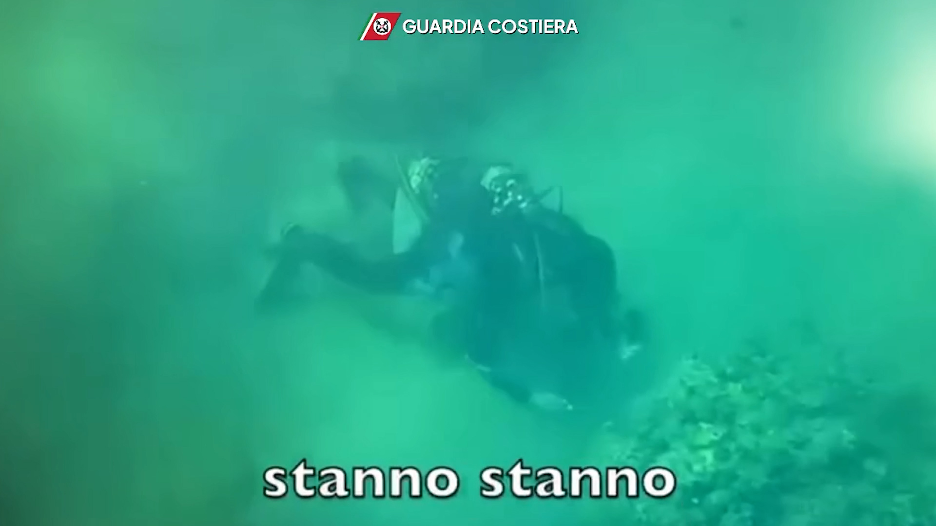 fondale marino danneggiato per pescare i datteri 57 indagati attivit224 devastante era diventata prassi 8211 video