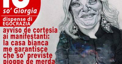 Copertina di La vignetta di Mannelli