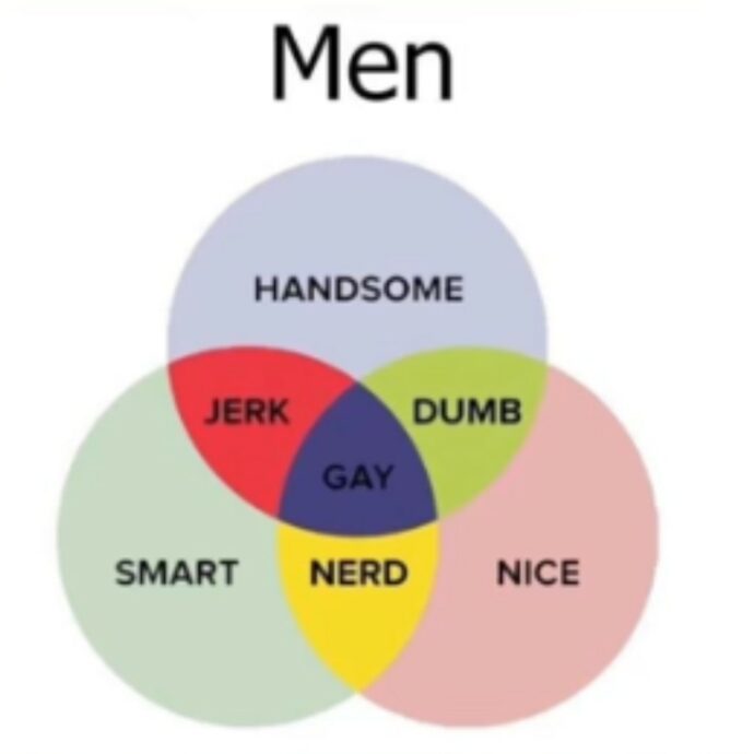 “I belli e gentili sono ‘stupidi’; gli intelligenti e gentili sono ‘nerd’; quelli belli e intelligenti degli ‘str**zi'”: cos’è il Men Diagram virale su TikTok
