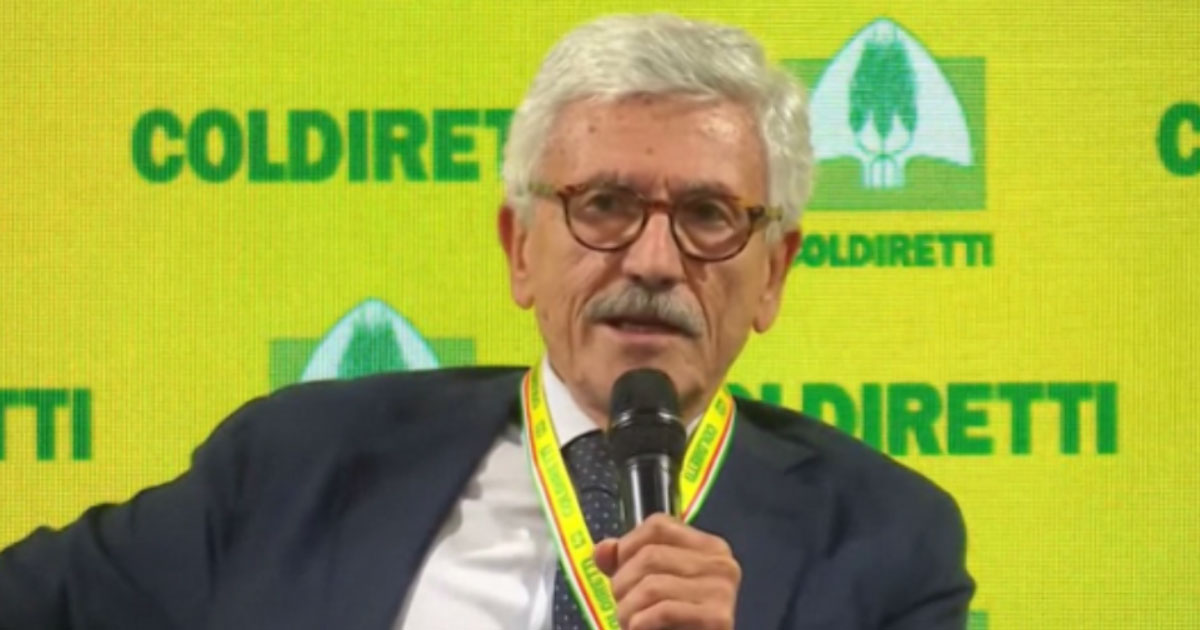 d8217alema se i cittadini non votano pi249 l8217occidente curi le proprie democrazie prima di fare la guerra agli autocrati