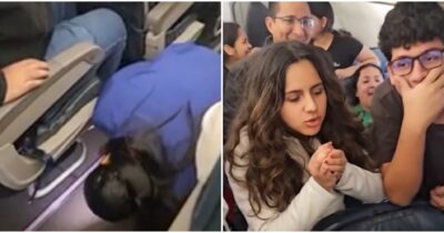 Copertina di Un criceto fa impazzire i passeggeri di un volo: aereo in ritardo di tre ore per la caccia al roditore – VIDEO