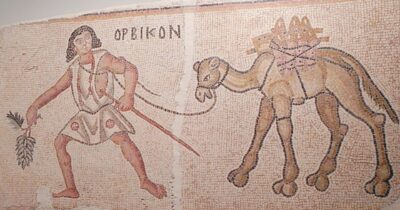 Copertina di Scoperte storiche: a Gaza il primo vino bianco  rinvenuto dagli archeologi