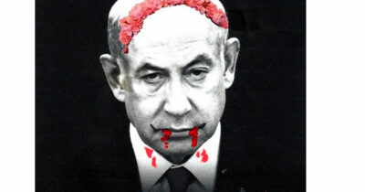 Copertina di La vignetta di Vauro